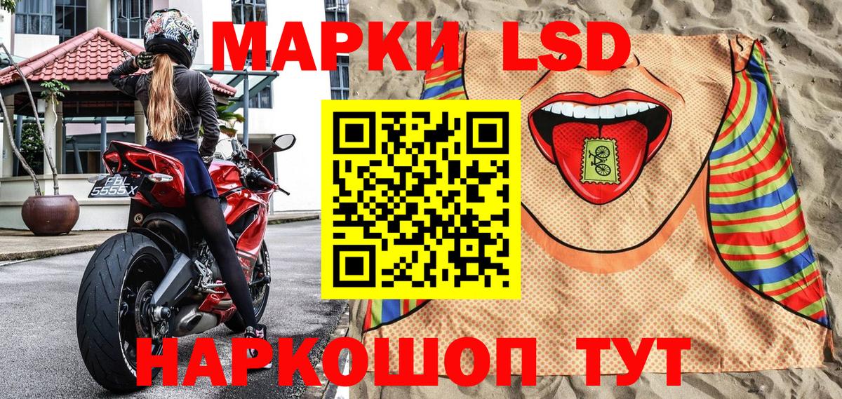 где продают   Наркотические марки  Вход с VPN  Наркотические марки 1,5мг  Камышин 