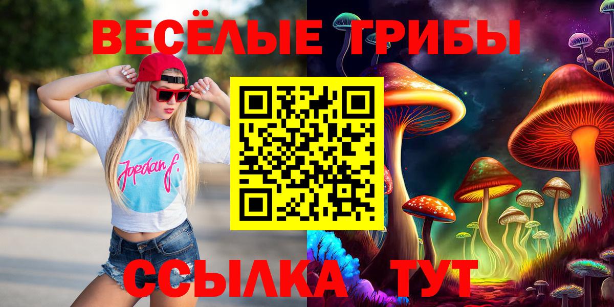 Галлюциногенные грибы MAGIC MUSHROOMS  как найти закладки  Камышин  Галлюциногенные грибы Psilocybe  Вход с VPN 