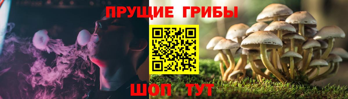 Псилоцибиновые грибы ЛСД Камышин